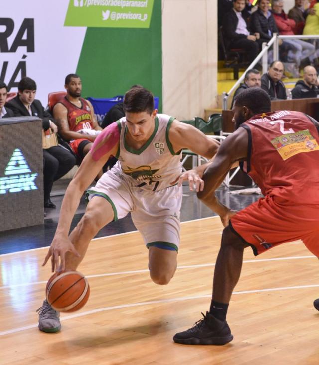 El ladr�n patag�nico